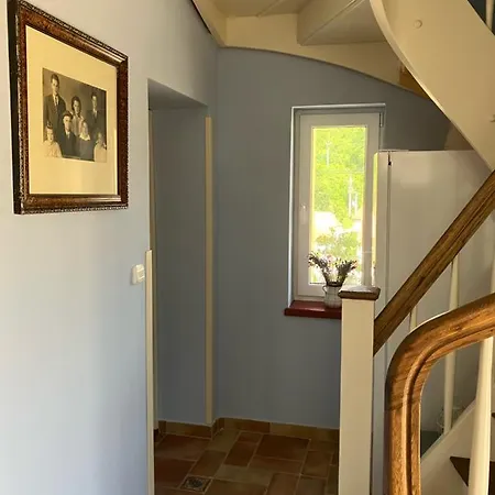 Viktoria Apartamento